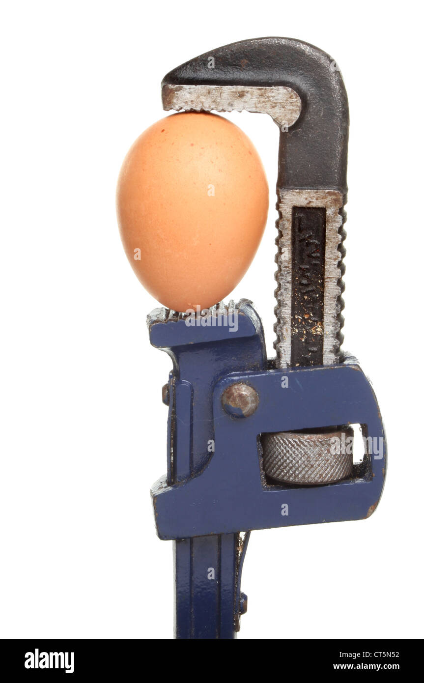 An egg held in the jaws of a mole wrench isolated against white Stock Photo