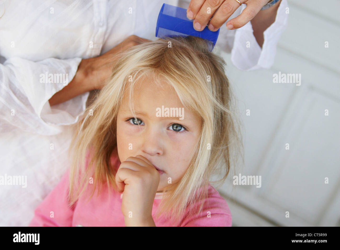TREATMENT FOR LICE Stock Photo Alamy