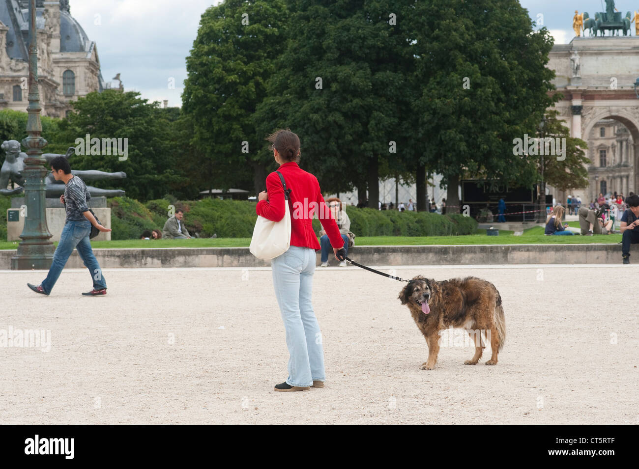 France paris woman walking dog hires stock photography and images Alamy