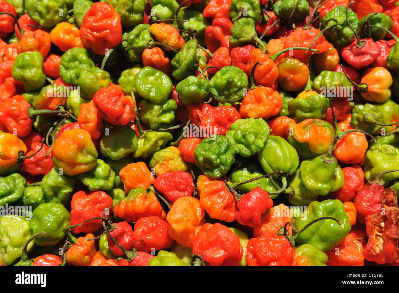 Countless varieties hi-res stock photography and images - Alamy