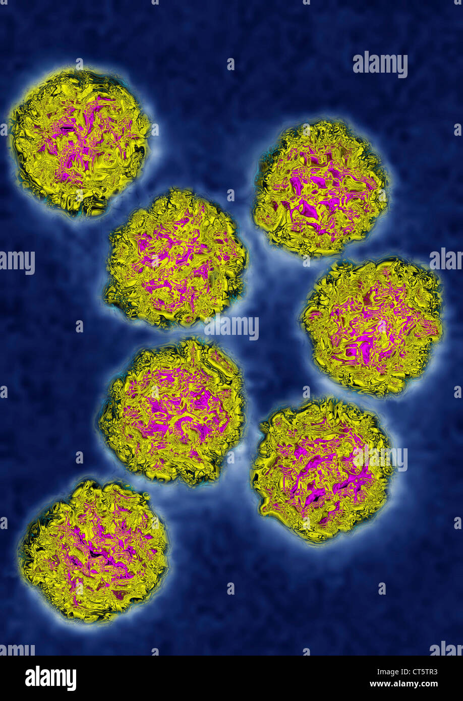 Coxsackie Virus Stock Photo Alamy