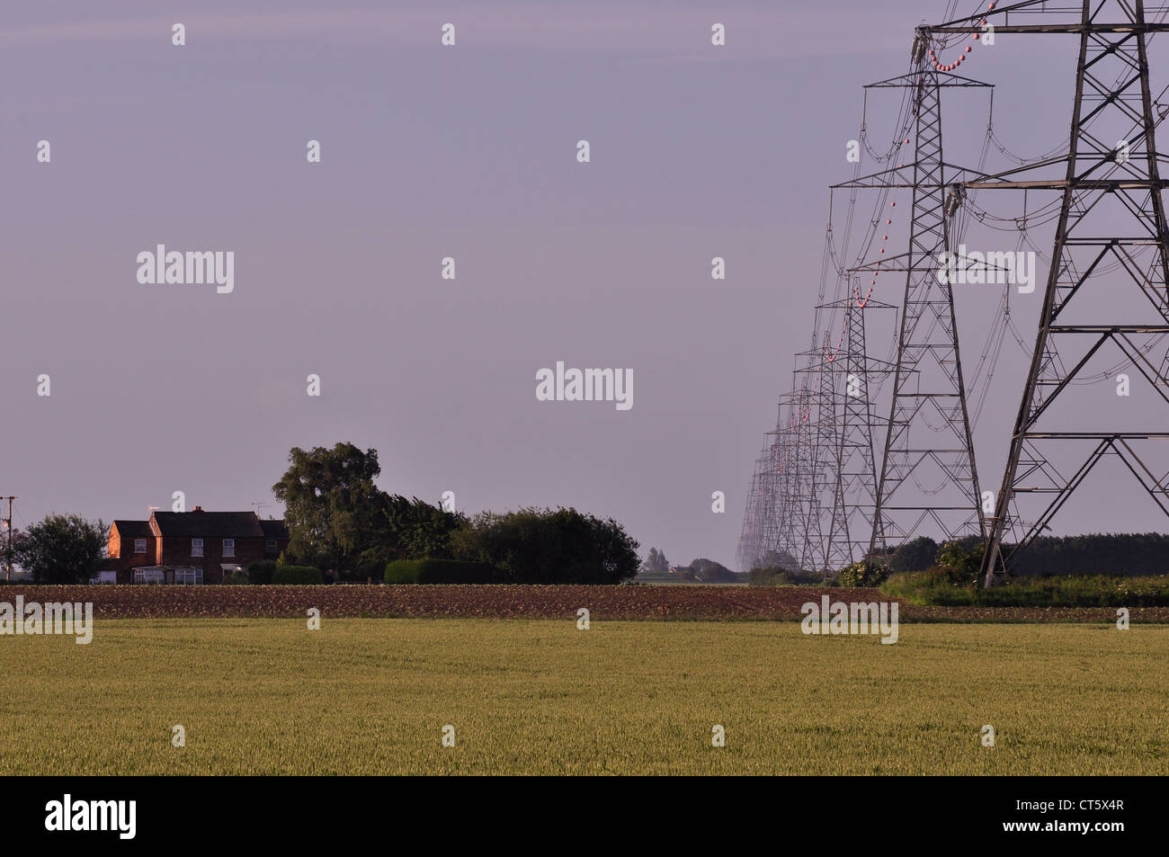 Fenland pylons near Nordelph Norfolk Stock Photo