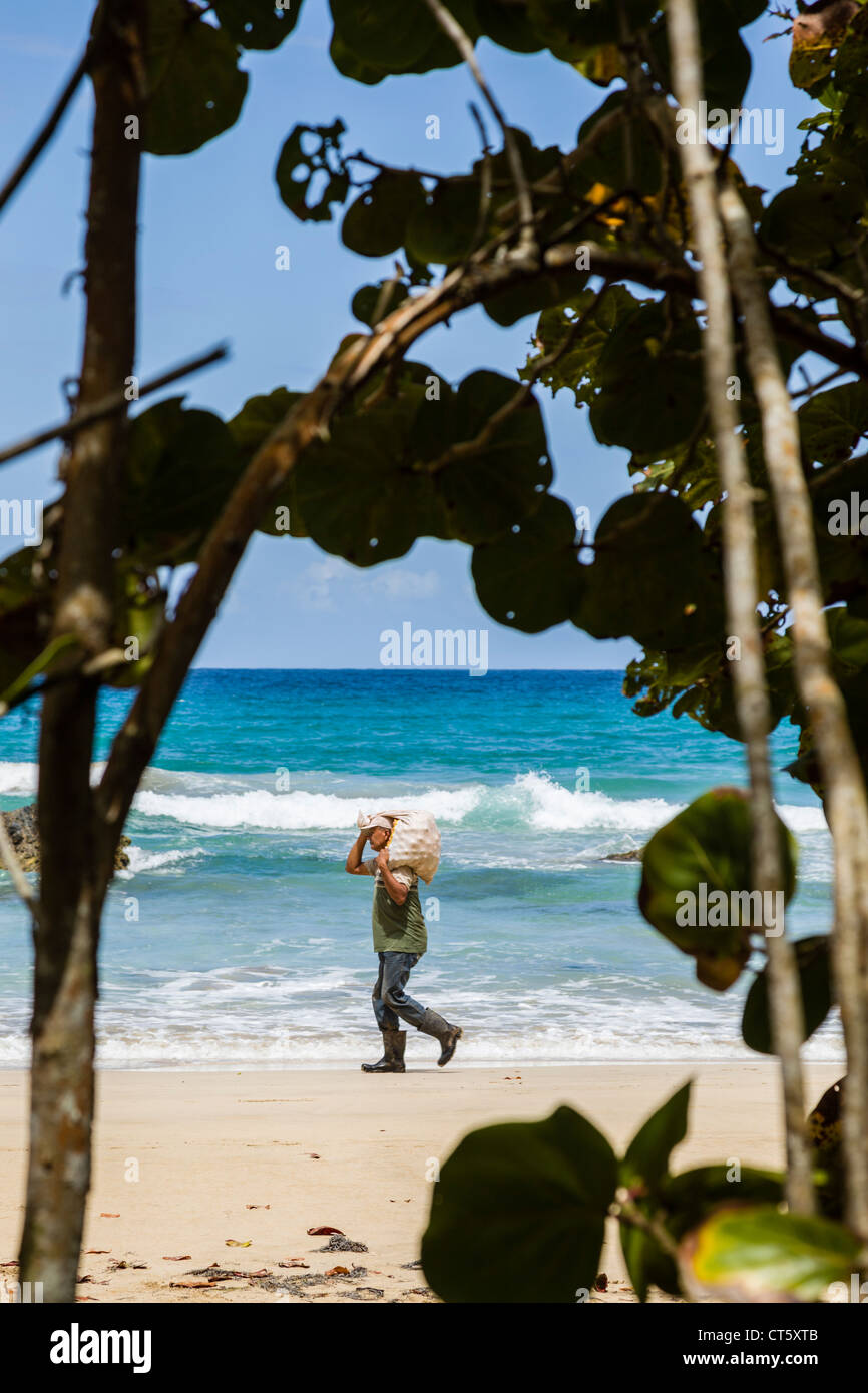 Man carrying a bag on Isla Bastimentos, Bocas del Toro, Panama. Stock Photo