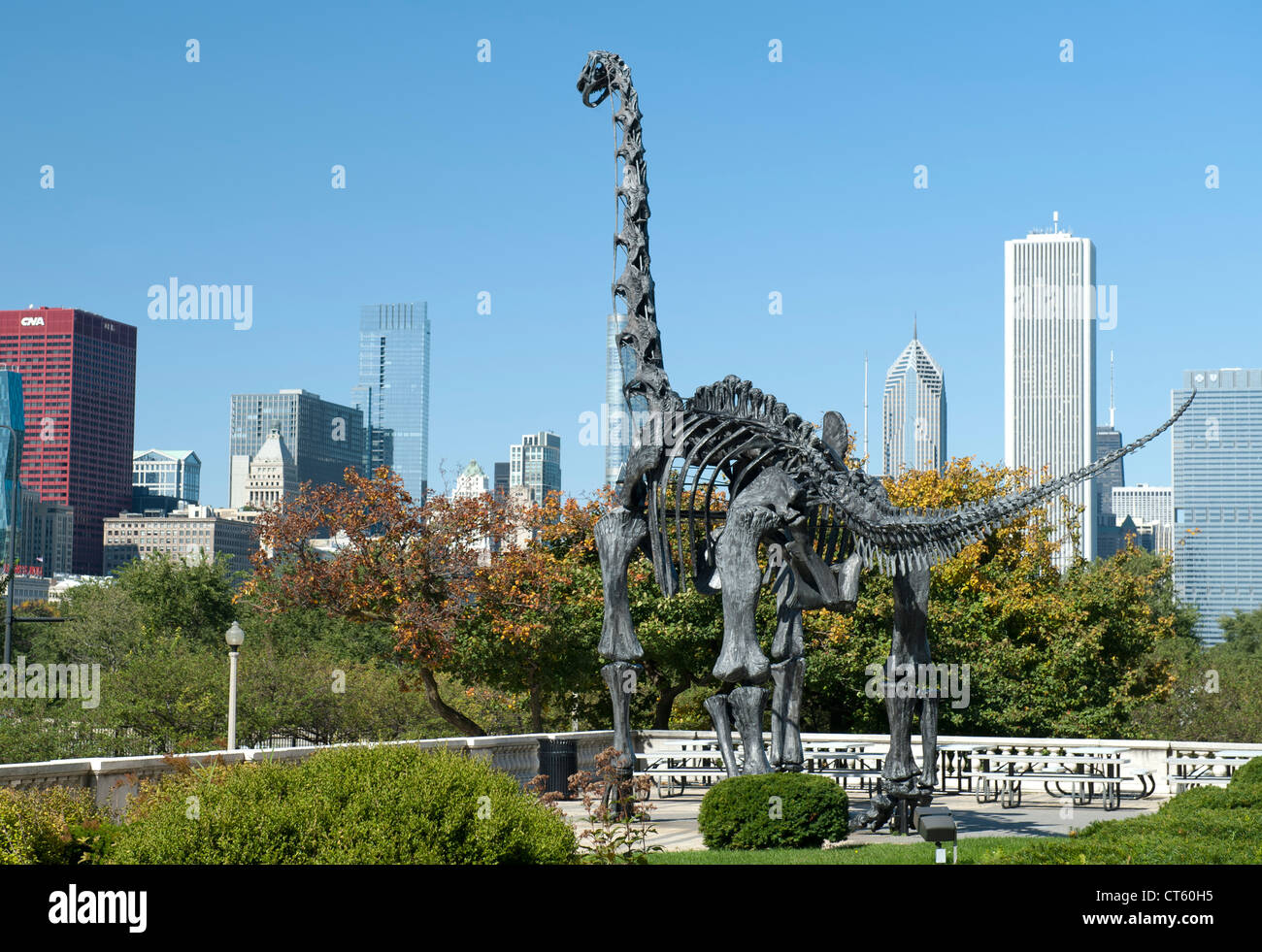 Brachiosaurus sculpture outside the Field Museum of Natural History in Chicago, Illinois, USA. Stock Photo