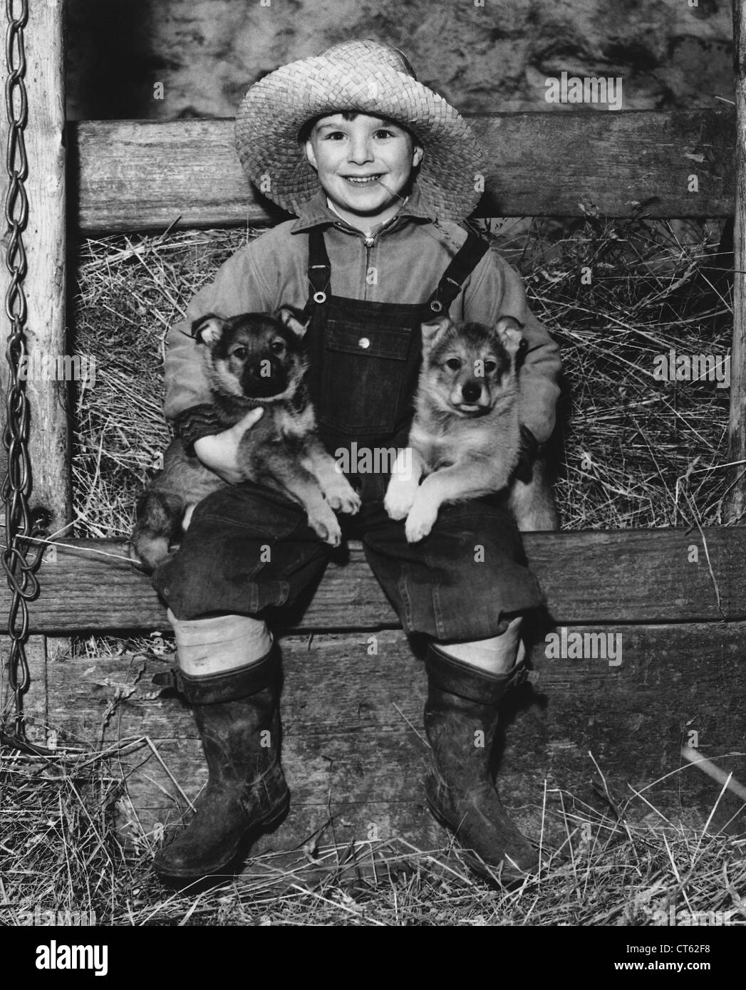 Boy in hay barn holding puppies Stock Photo - Alamy