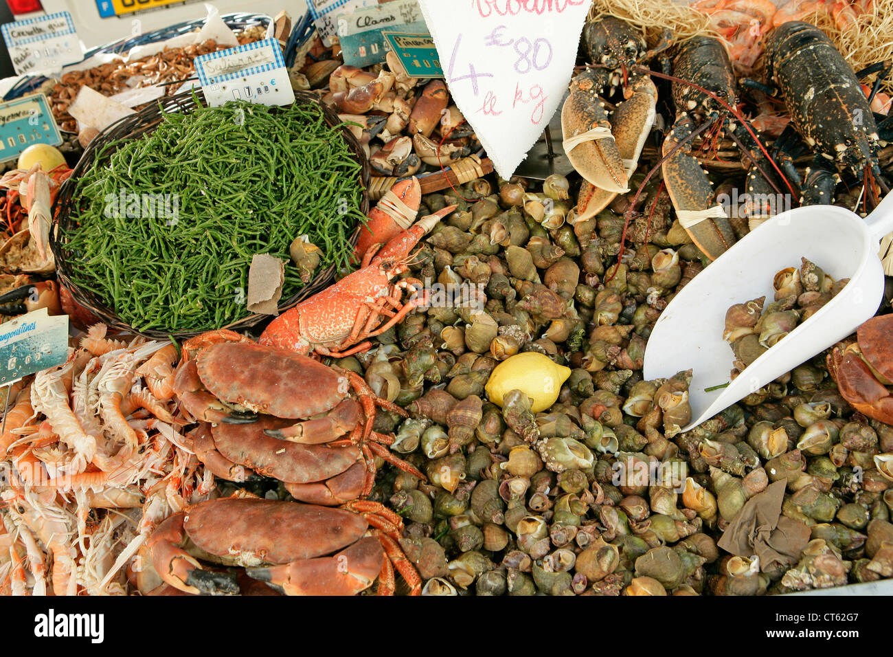 Seafood seal hi-res stock photography and images - Alamy