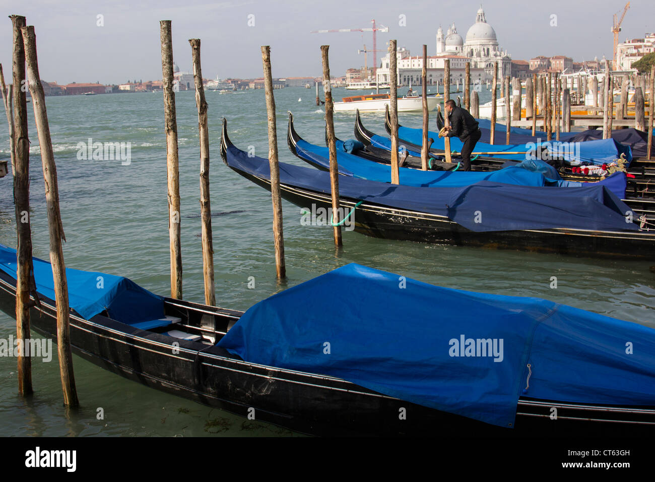 Gondola i the Grand Canal in Venice Italy Stock Photo - Alamy