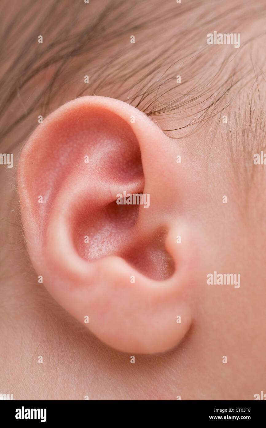 NEWBORN BABY EAR Stock Photo Alamy