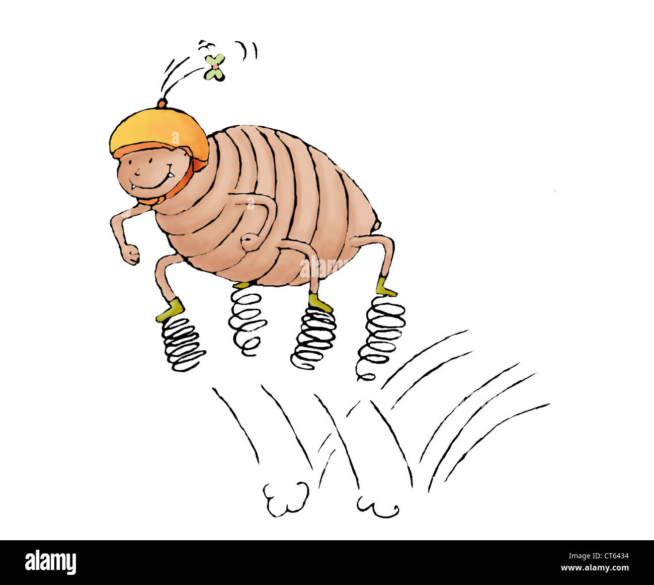 LOUSE DRAWING Stock Photo Alamy