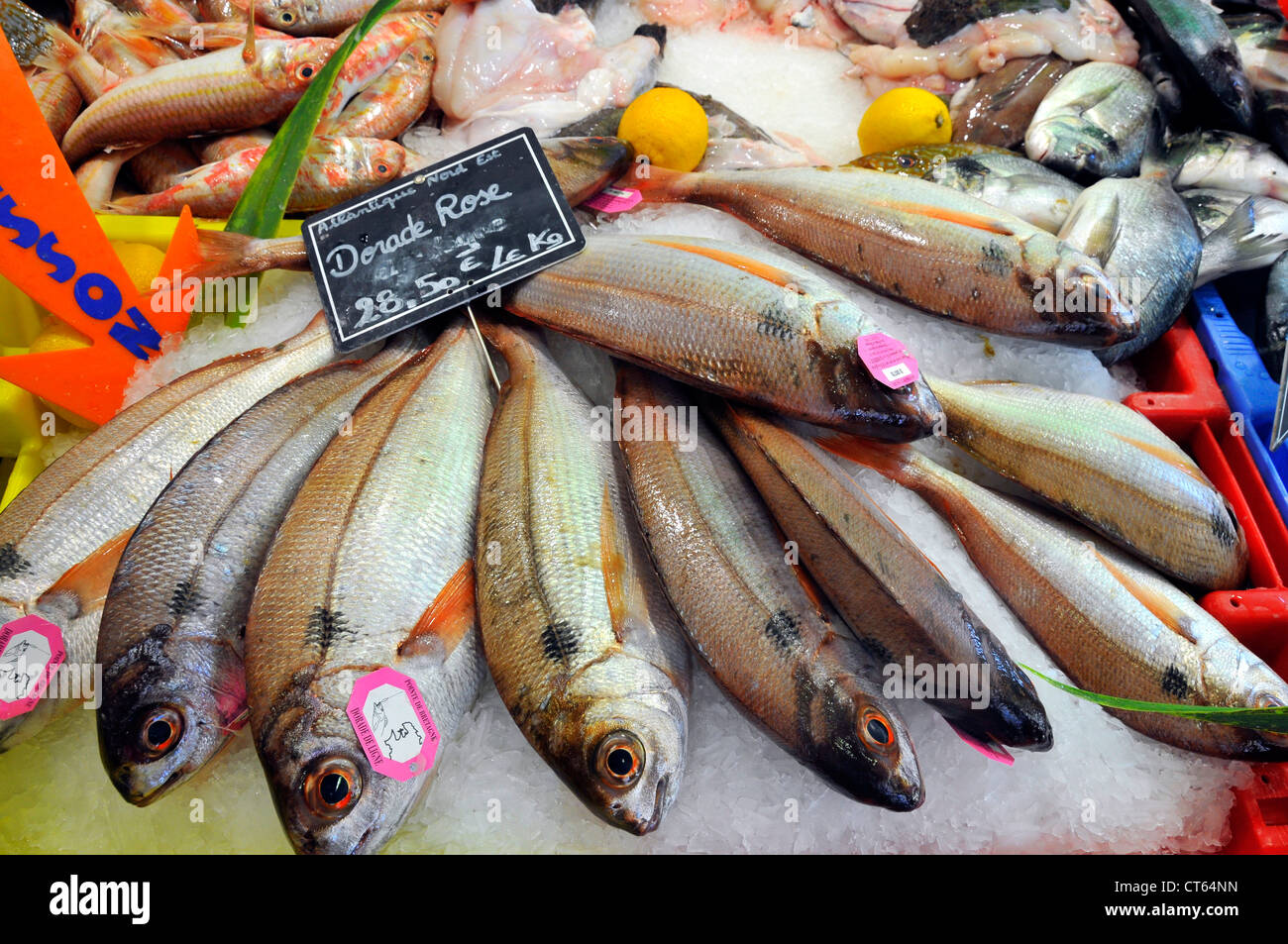 Low price fish hi-res stock photography and images - Alamy