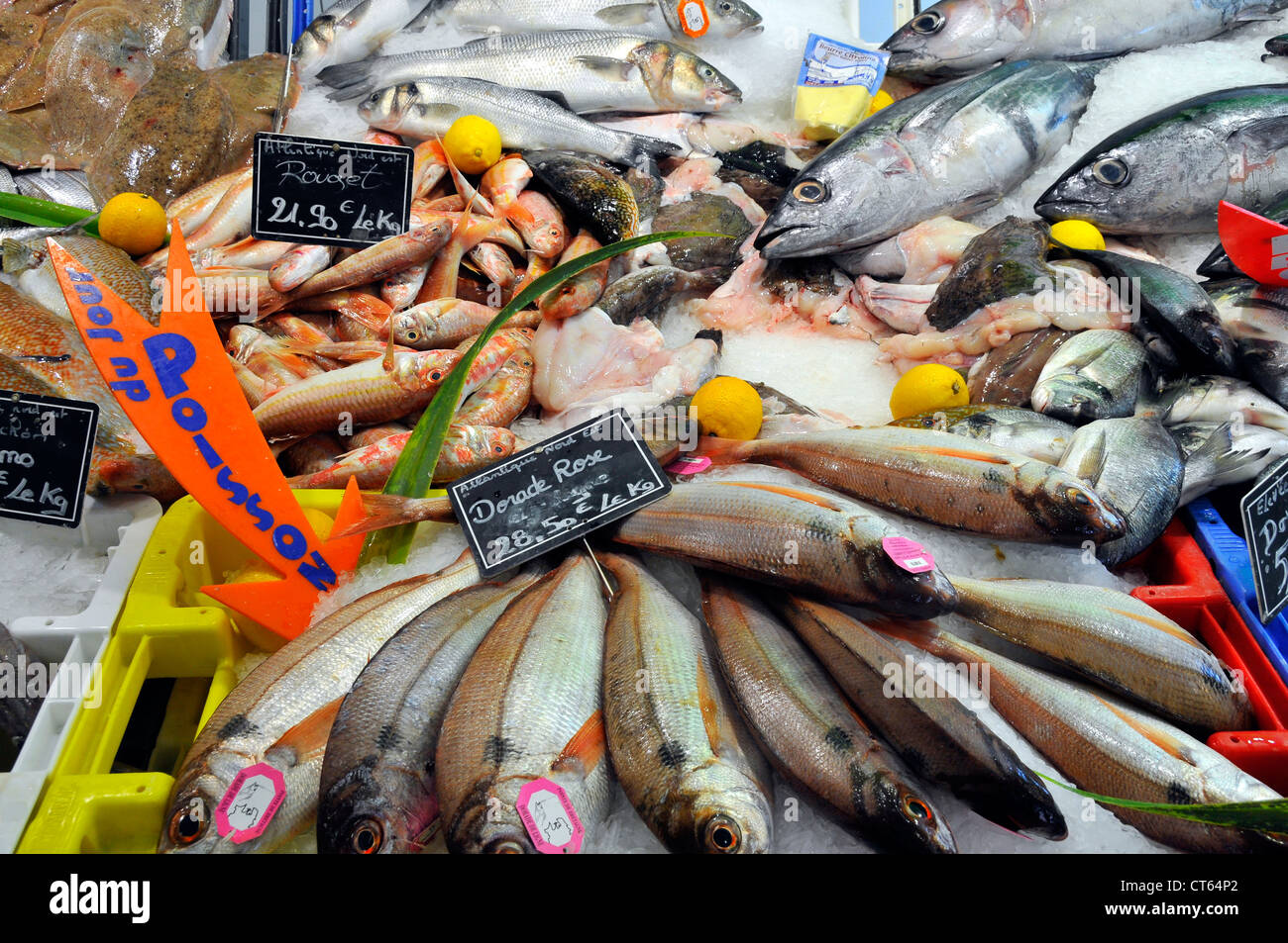 Blackspot Seabreams High Resolution Stock Photography and Images - Alamy