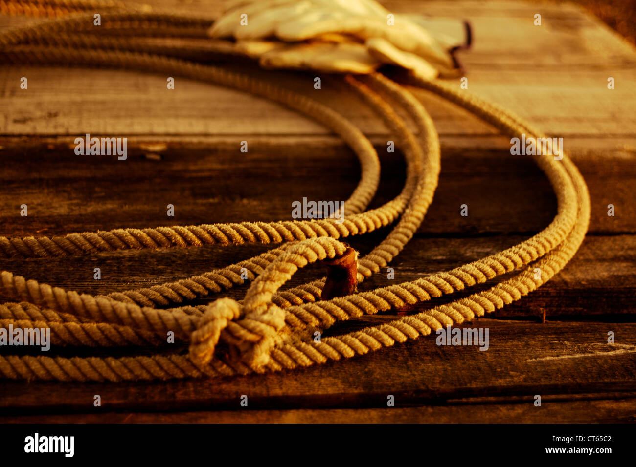A western cowboy rope (lariat) laying  on an old weathered fence with leather gloves in the background. Stock Photo