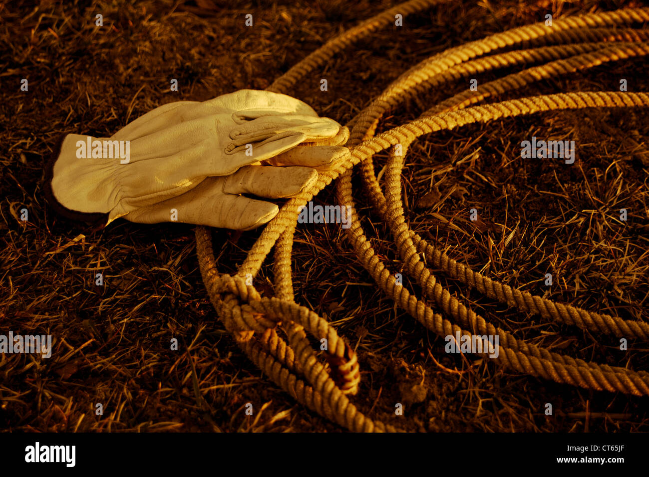 A western cowboy rope (lariat) laying  on the grass with gloves. Stock Photo