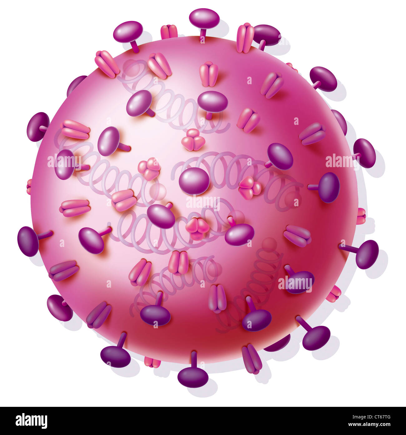 INFLUENZA VIRUS Stock Photo