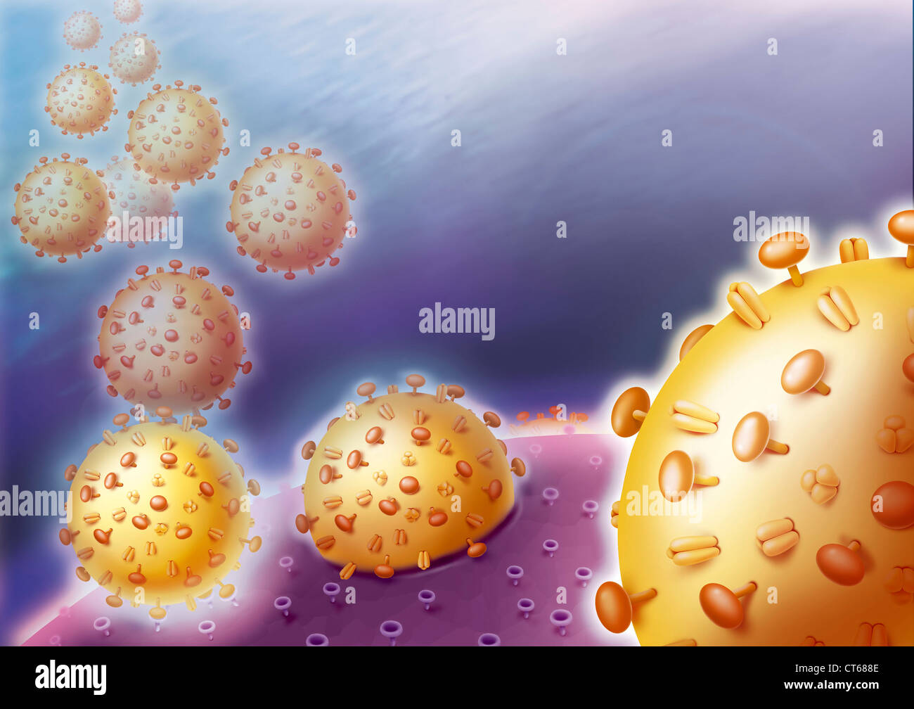 VIRAL INFECTION, ILLUSTRATION Stock Photo