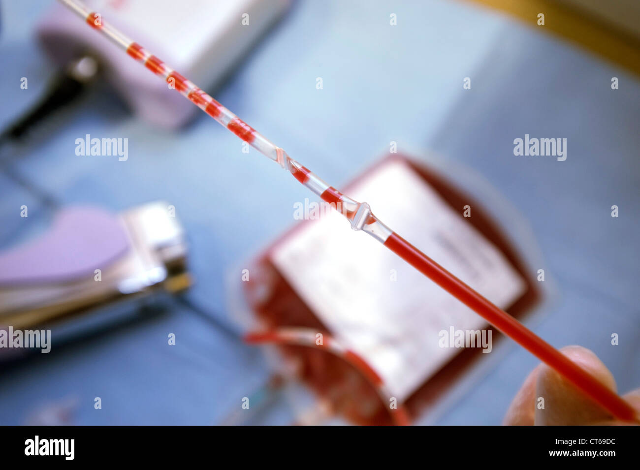 CORD BLOOD Stock Photo