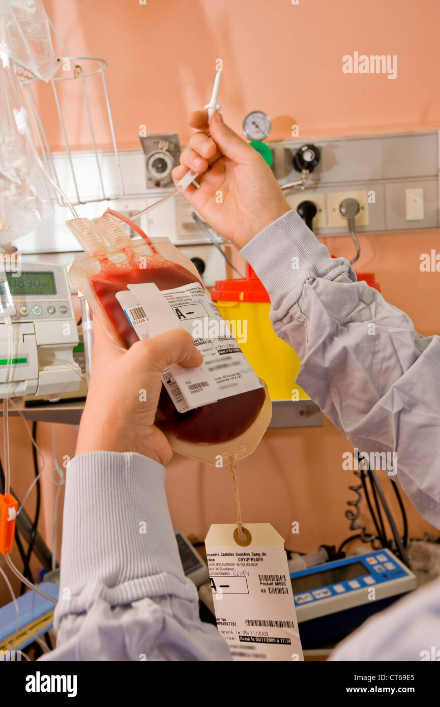 CORD BLOOD TRANSPLANT Stock Photo Alamy