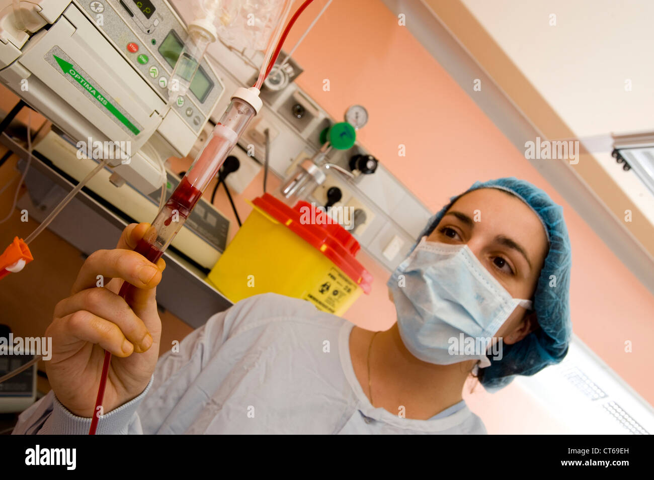 CORD BLOOD TRANSPLANT Stock Photo Alamy