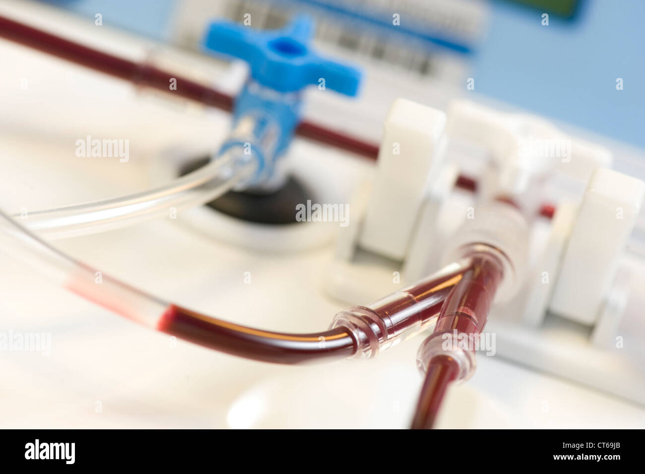 CORD BLOOD Stock Photo