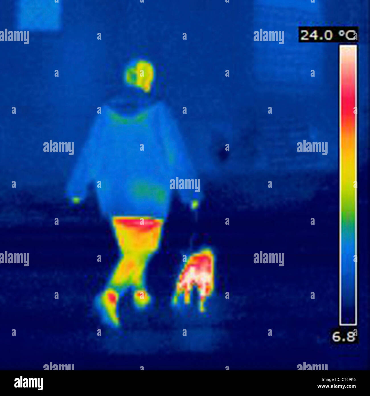 Human thermogram hires stock photography and images Alamy