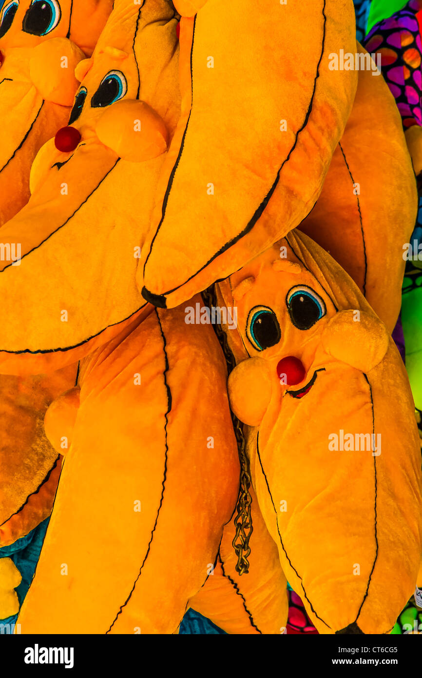 Images taken at an annual CarnivalFair in Exton, Chester County, PA