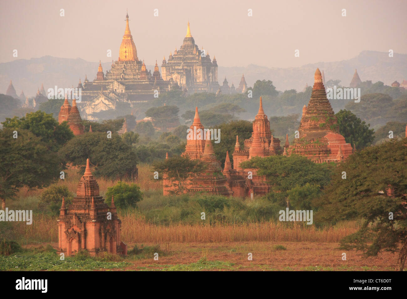Temples of Bagan in morning mist, Bagan Archaeological Zone, Mandalay region, Myanmar, Southeast Asia Stock Photo
