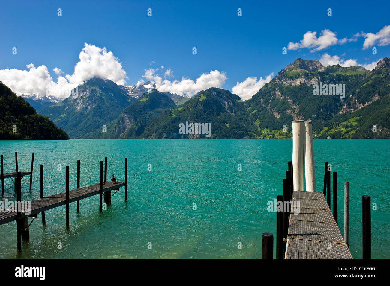 Switzerland, Canton Schwyz, Brunnen, Sisikon, Lucerne lake ...