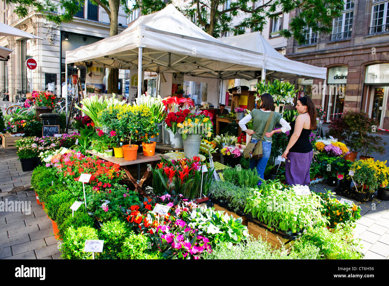 Flower Stall off Place du Marche Neuf,Strasbourg,France Stock Photo