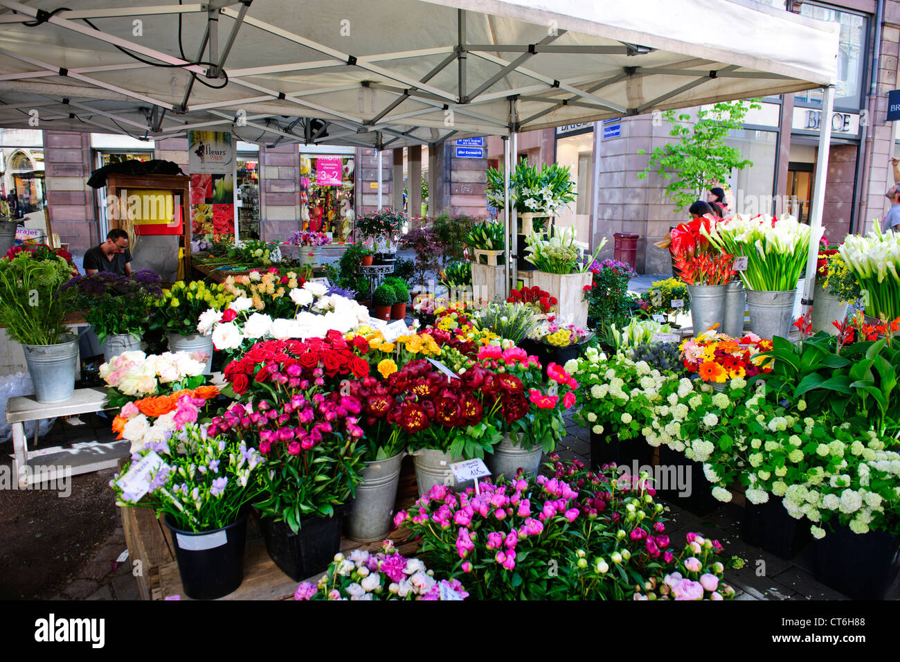 Flower Stall off Place du Marche Neuf,Strasbourg,France Stock Photo