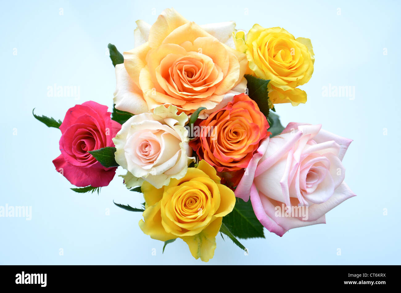 bunch of roses Stock Photo Alamy
