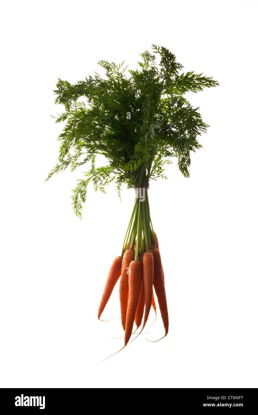 Carrots with leaves attached hires stock photography and images Alamy