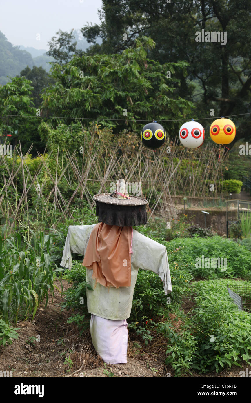 Scarecrow garden hi-res stock photography and images - Alamy