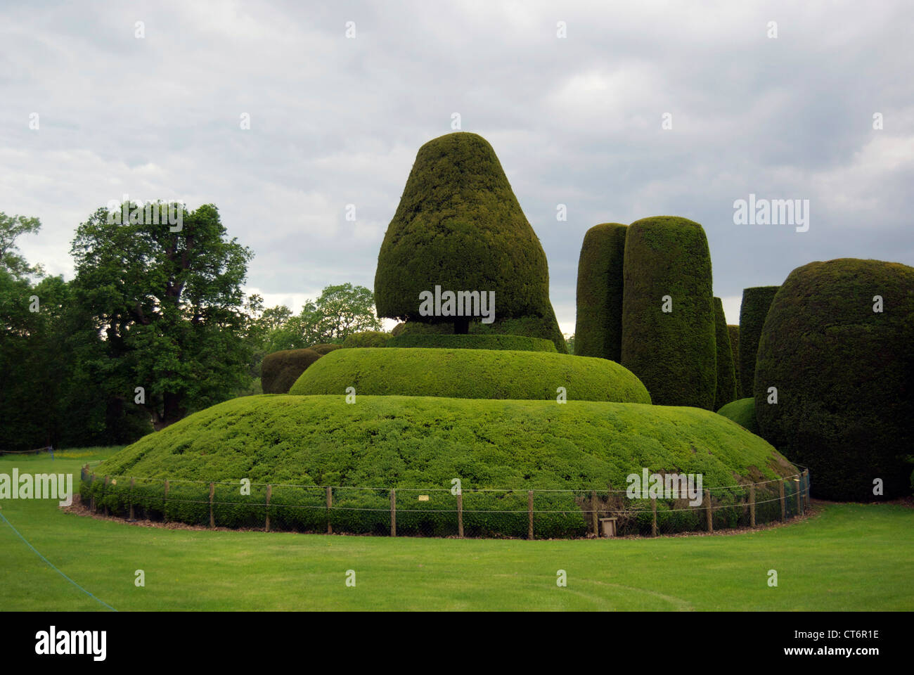 Spiral in yew tree garden hires stock photography and images Alamy