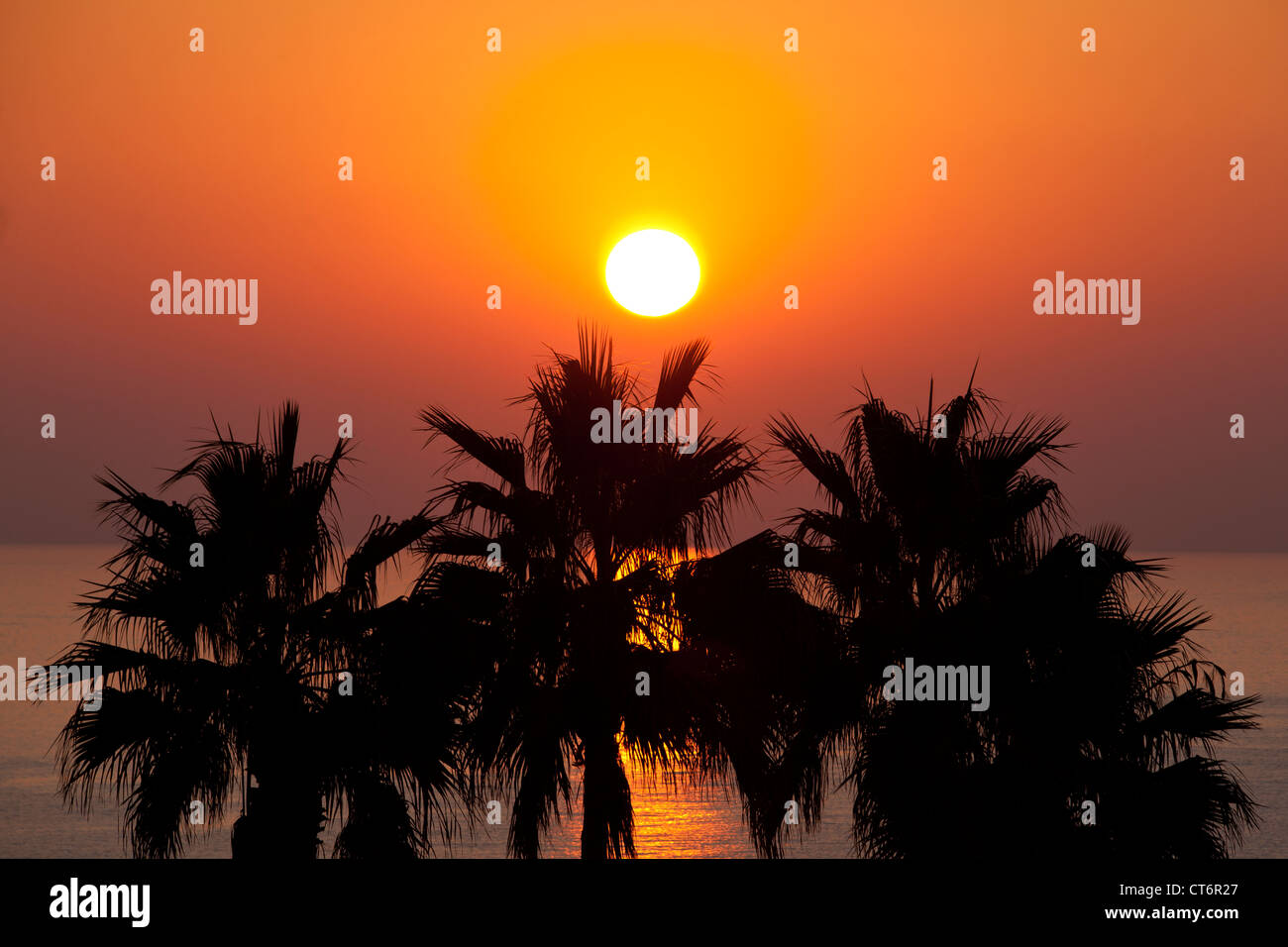 Sun setting over sea with palms silhouetted in foreground Stock Photo