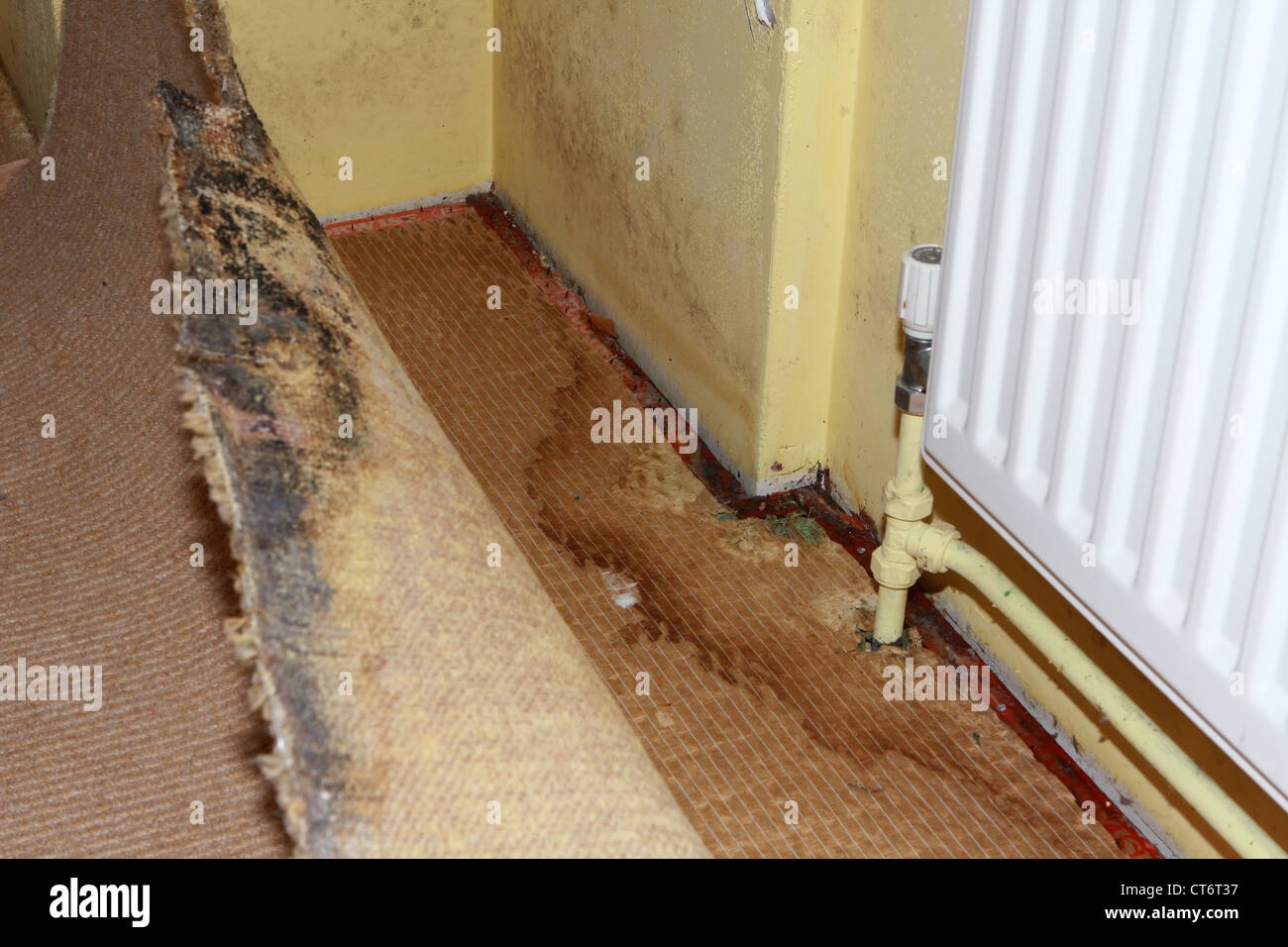 the effect of a leaking pipe showing carpet damage and rising damp in the walls Stock Photo