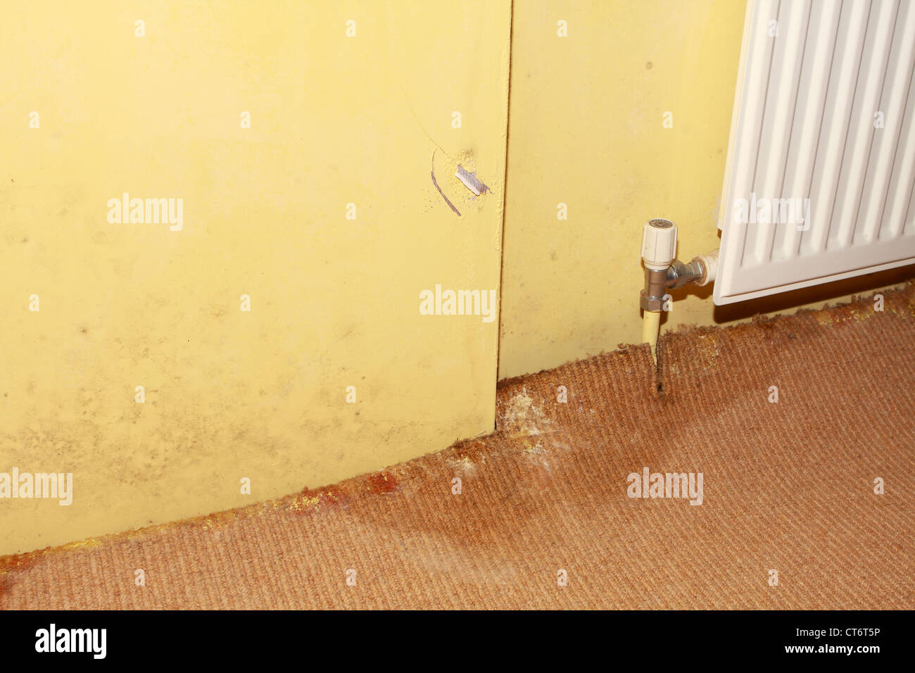 the effect of a leaking pipe showing carpet damage and rising damp in the walls Stock Photo