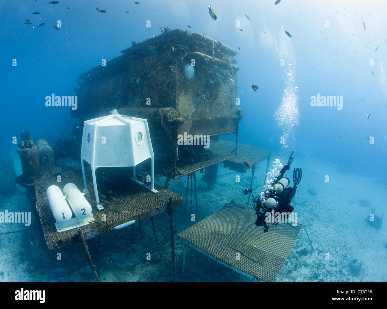 Scuba diver and marine habitat Stock Photo