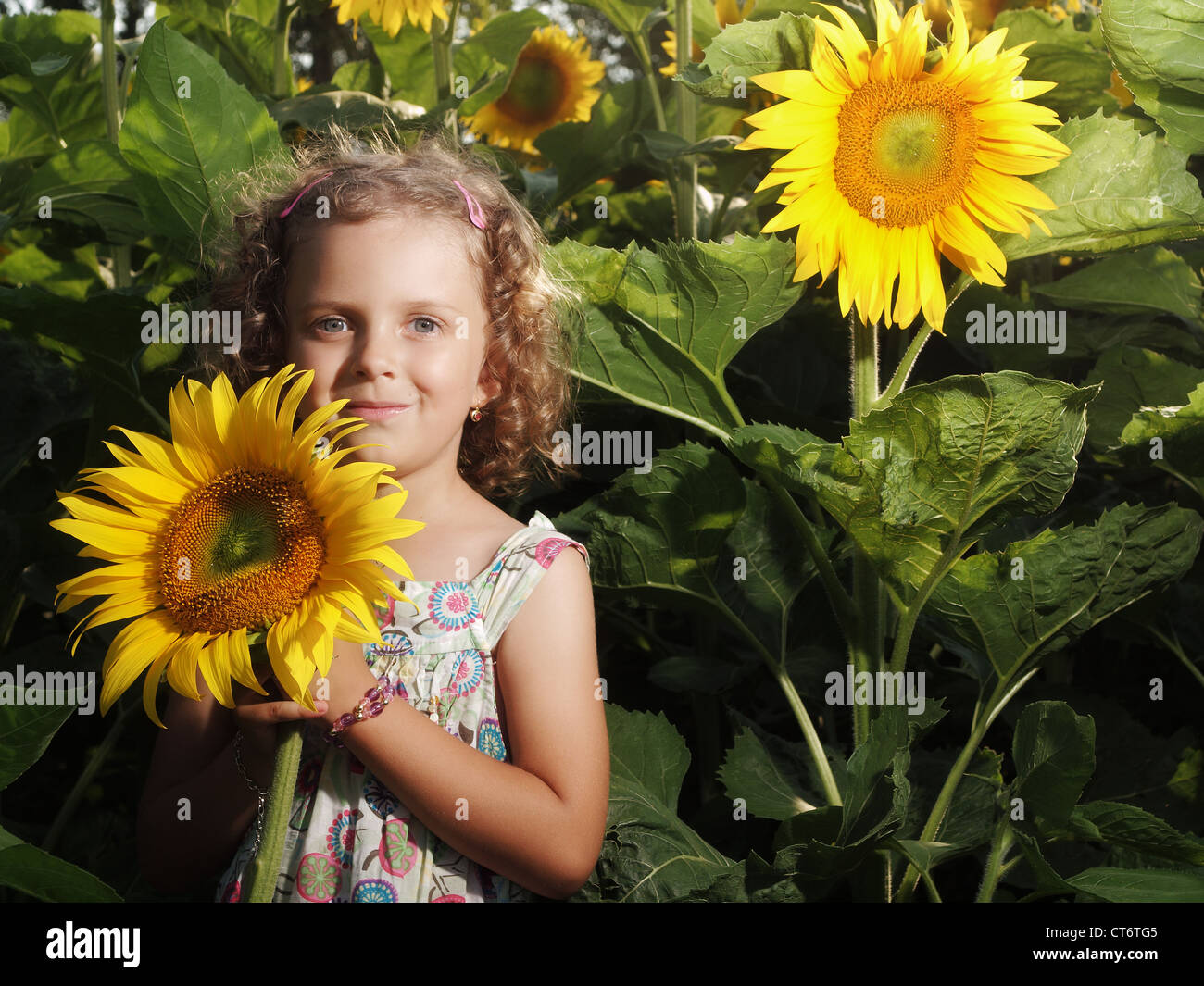 Little girl with sunflower Stock Photo - Alamy