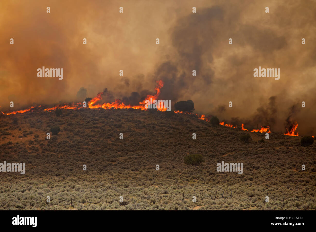Wildfire rages out of control and burns hills in central Utah. Stock Photo