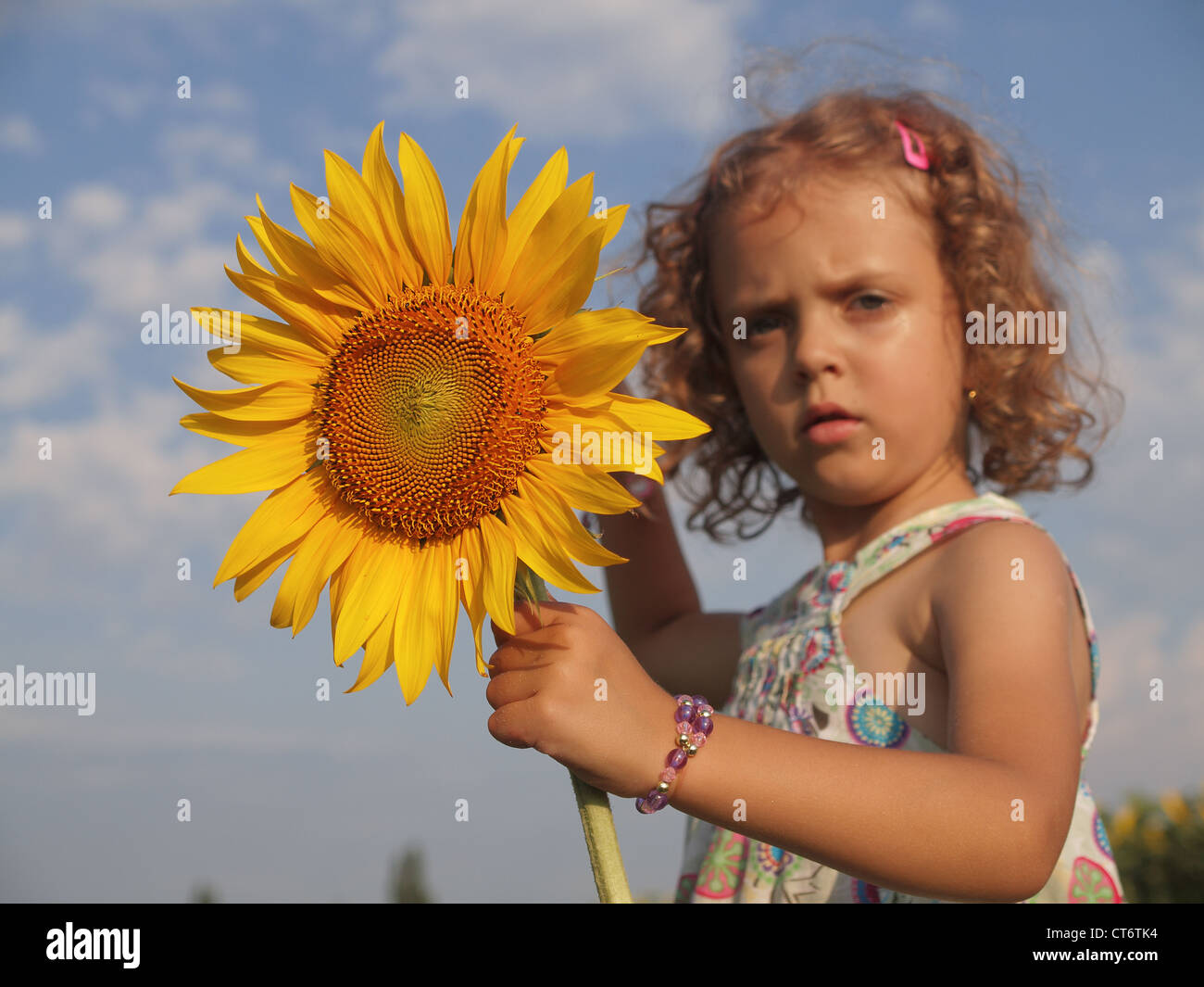 Little girl with sunflower Stock Photo - Alamy