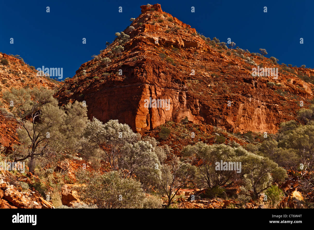 KENNEDY RANGE NATIONAL PARK, TEMPLE DRY RIVER BED, WESTERN AUSTRALIA, AUSTRALIA Stock