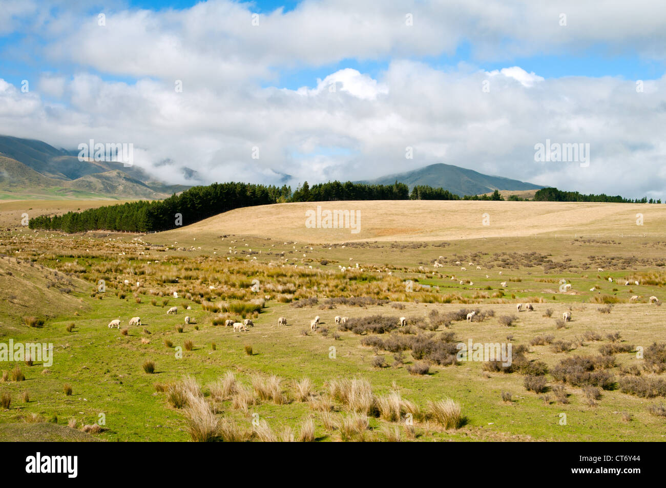 New Zealand South Island scenic landscape Stock Photo - Alamy