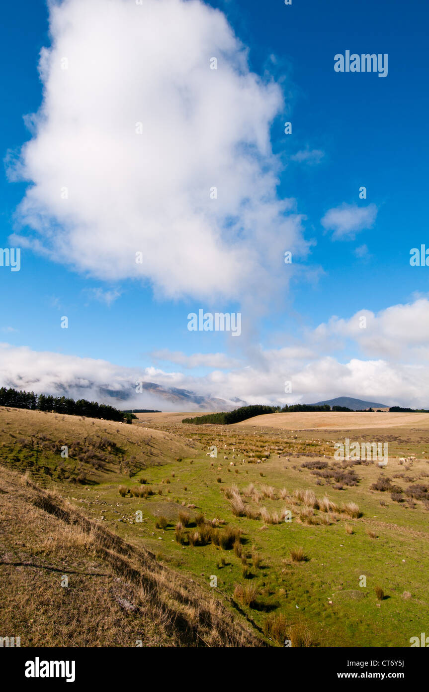 New Zealand South Island scenic landscape Stock Photo - Alamy