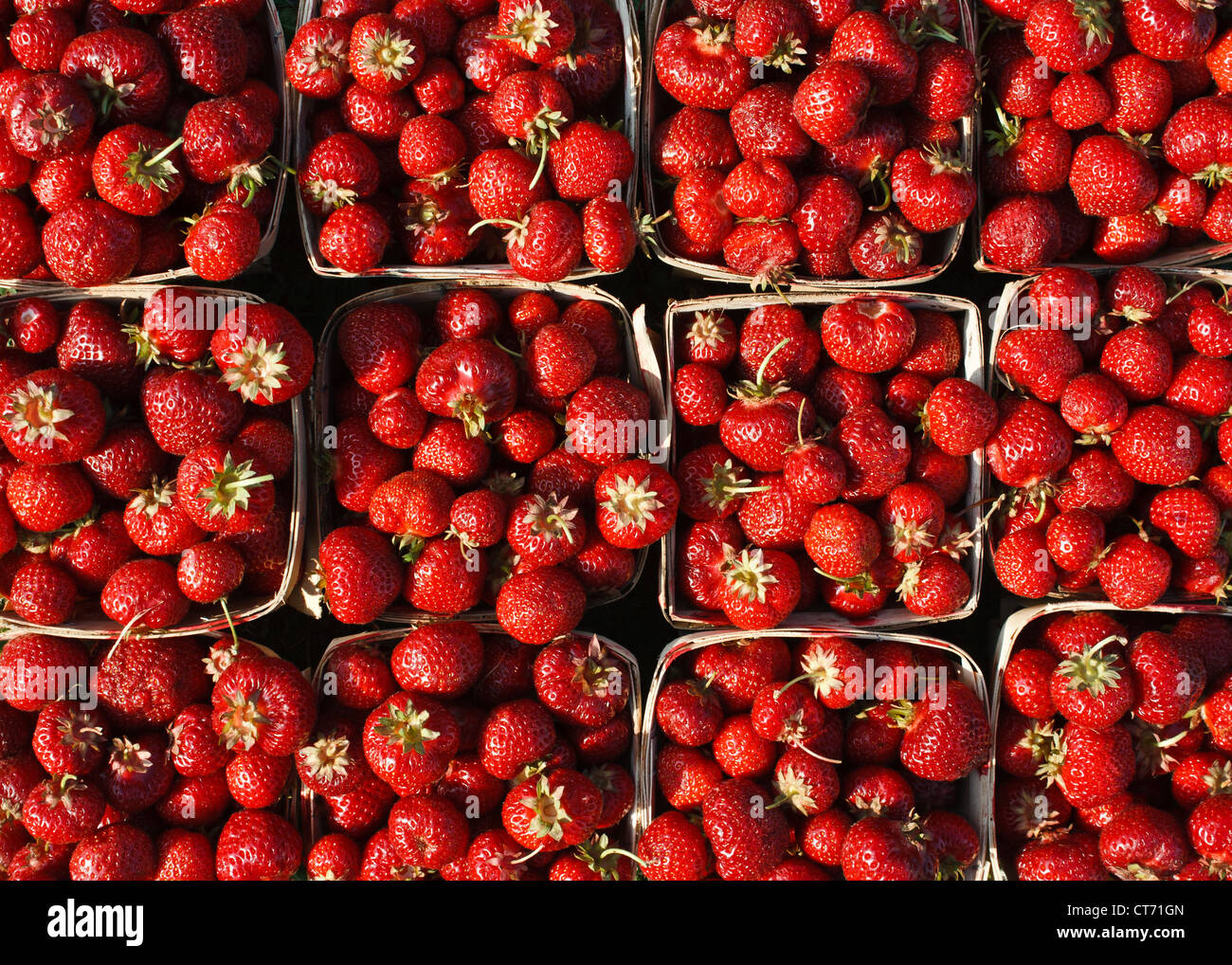 Collection of strawberries Stock Photo - Alamy