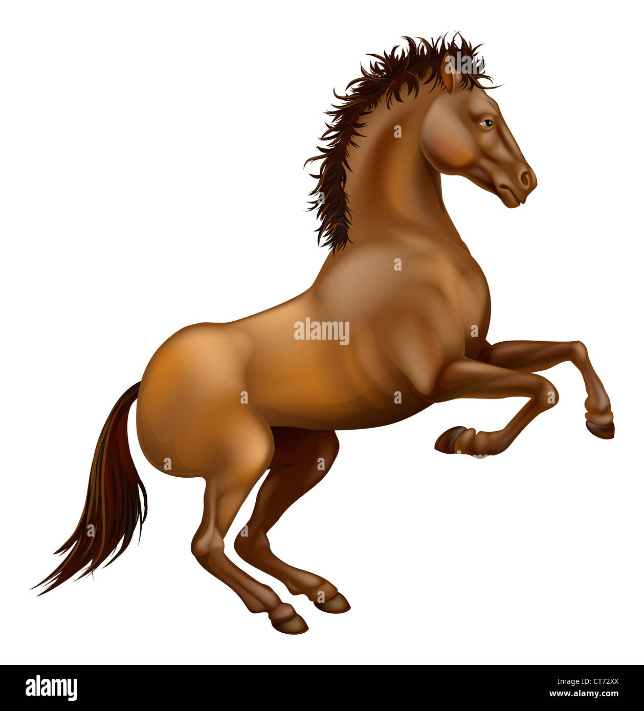 Stallion standing on his hind legs hires stock photography and images