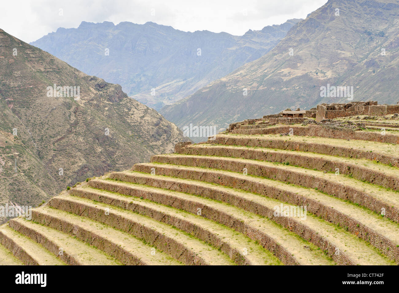 Agricultural terraces built by the Inca at Pisac, Urubamba, Peru Stock ...