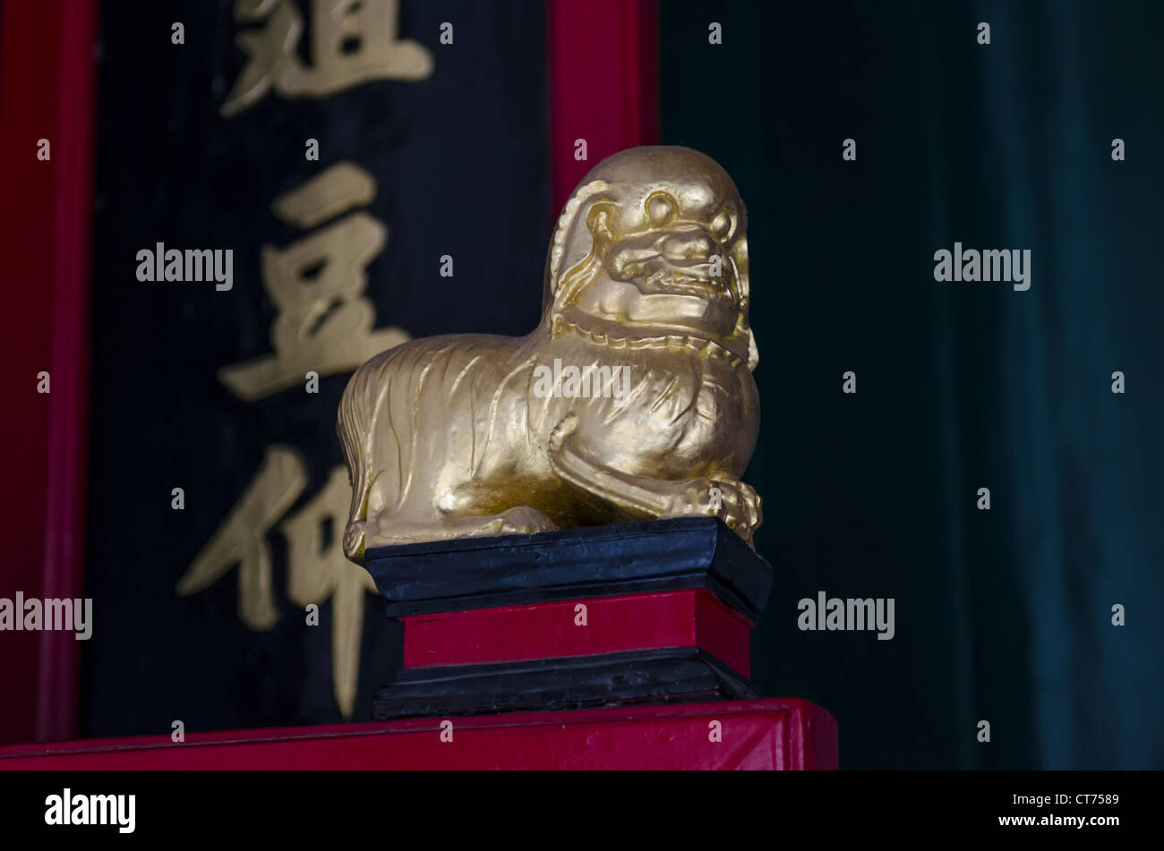 Chinese traditional lion statue in Sam Tung Uk Museum, Hong Kong Stock