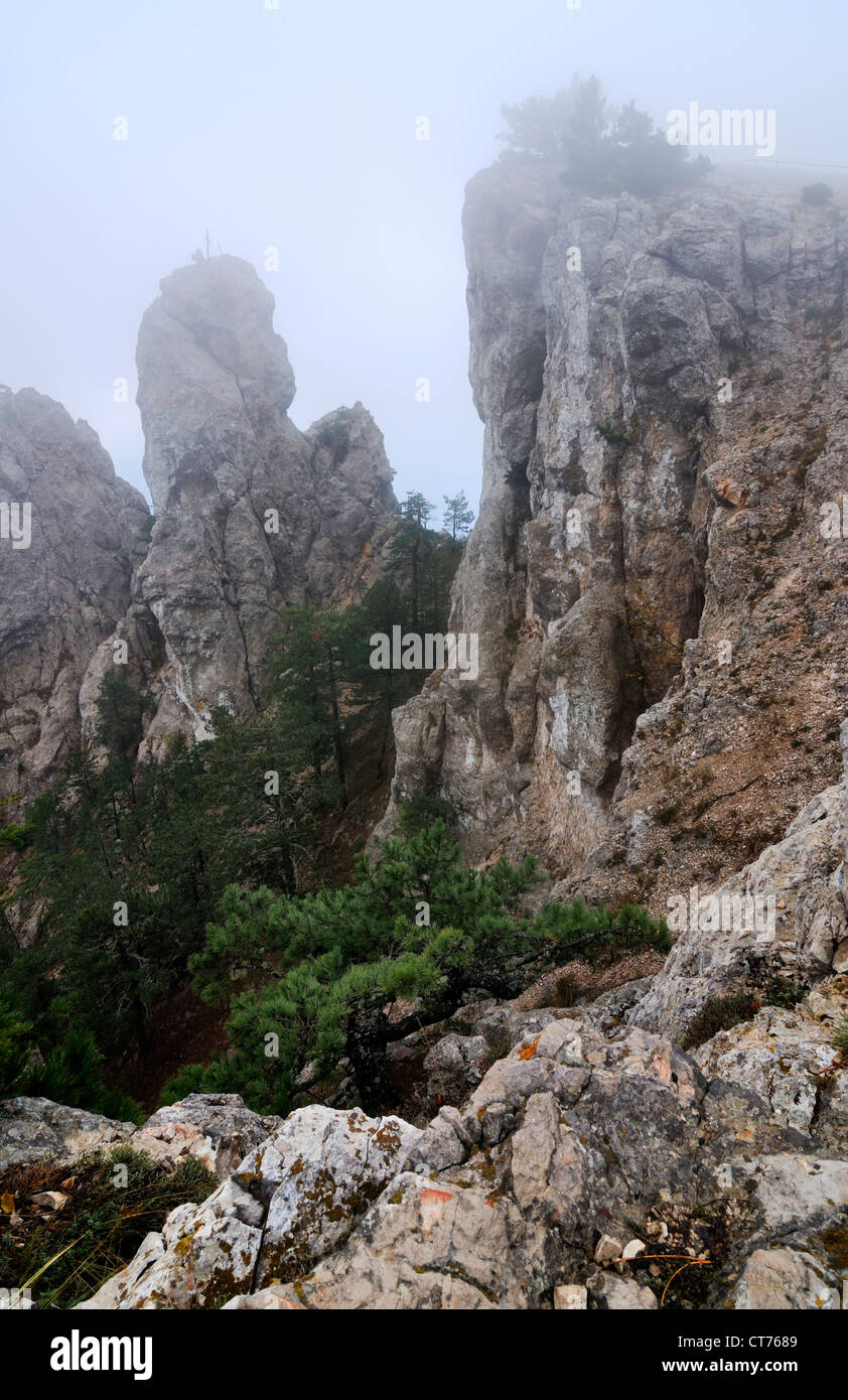 forest near Ai-Petri Mountain on Crimea in Ukraine Stock Photo
