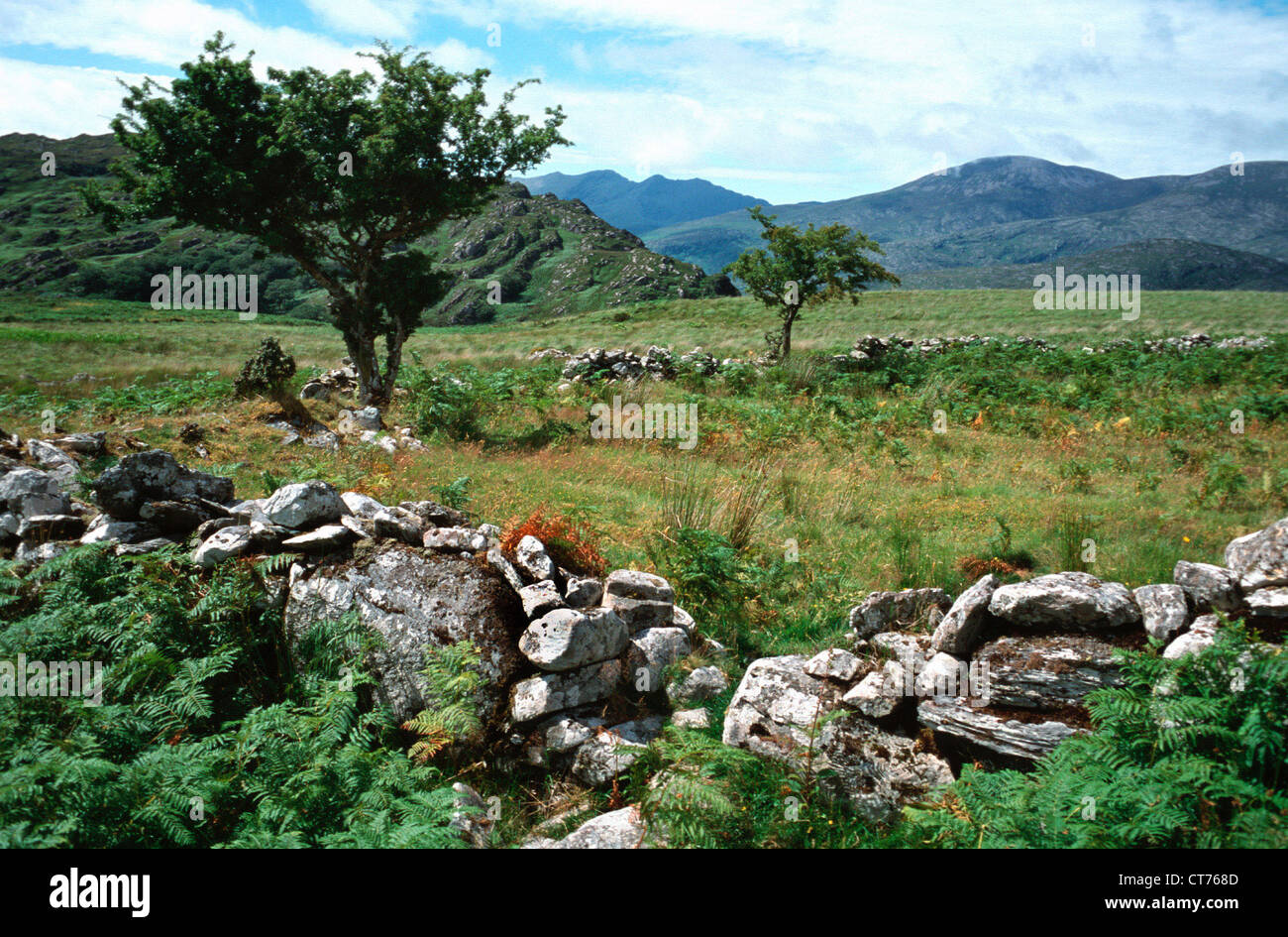 Ireland, KILLARNEY NATIONAL PARK, OLD ROAD KENMARE Stock Photo Alamy