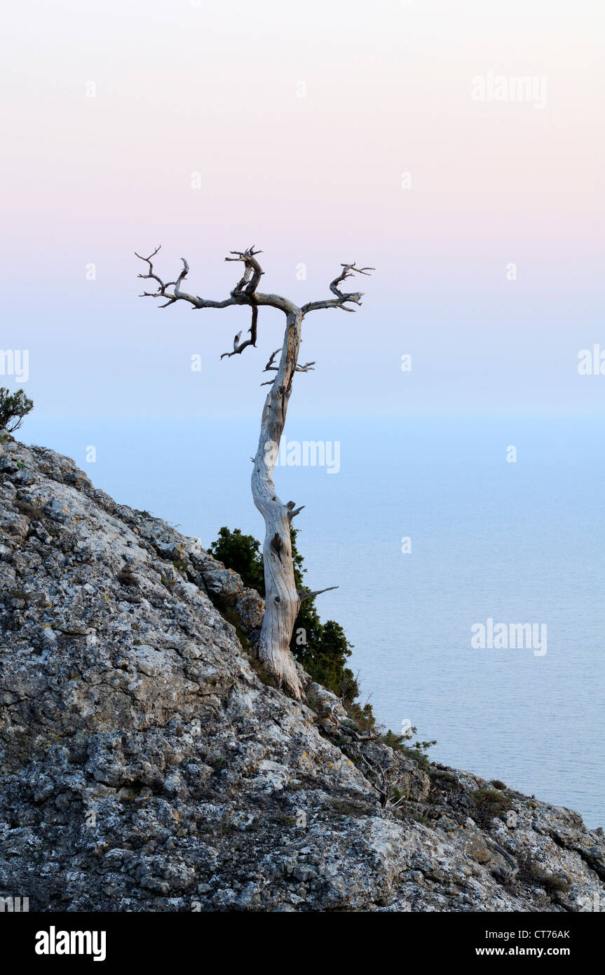 moon shining over Novyi Svet landscape on Crimea in Ukraine Stock Photo